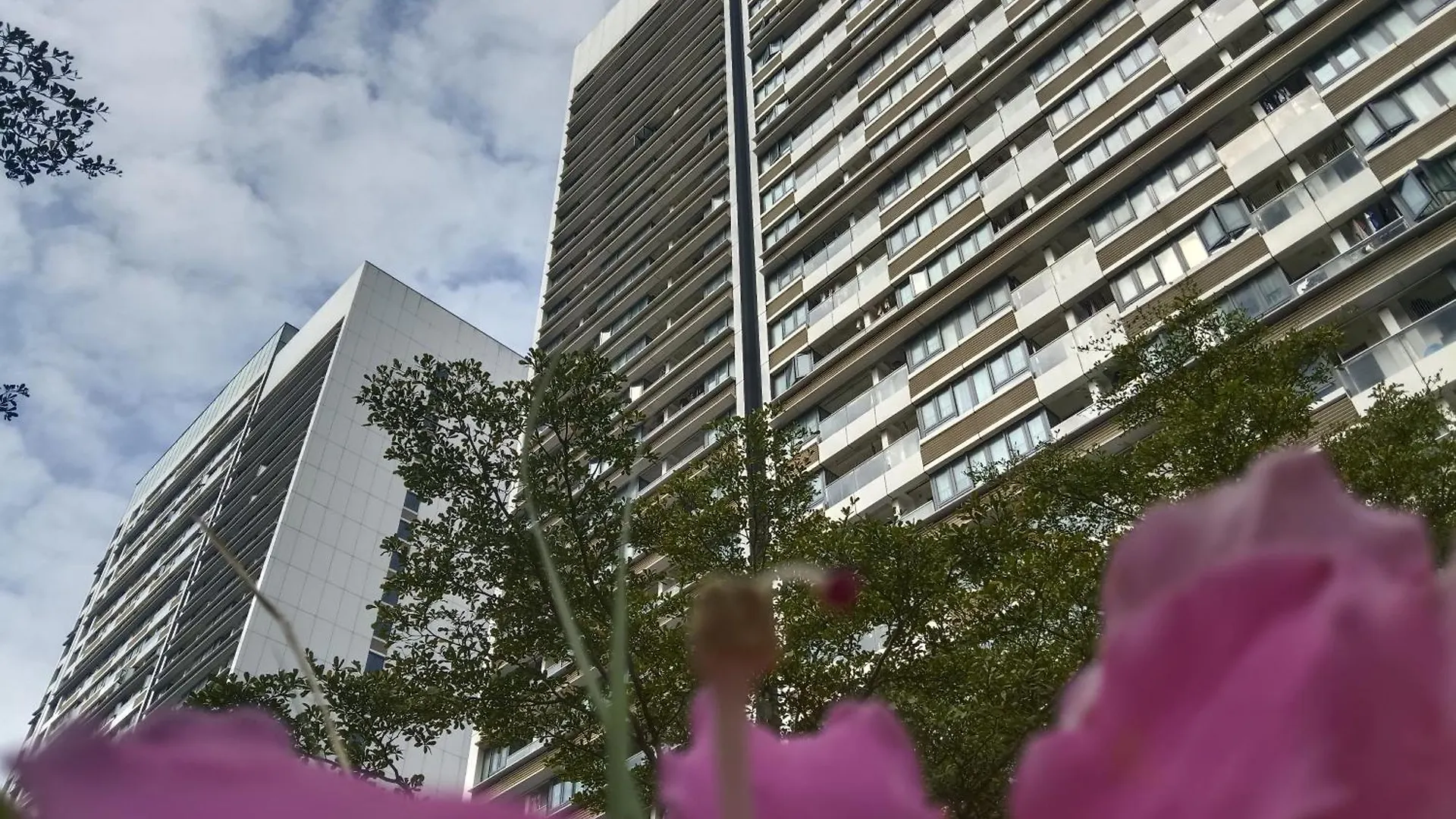 Royal Executive Apartment, Shenzhen World Exhibition & Convention Center, Nearby Shenzhen World North Metro St Ation 3*,  China